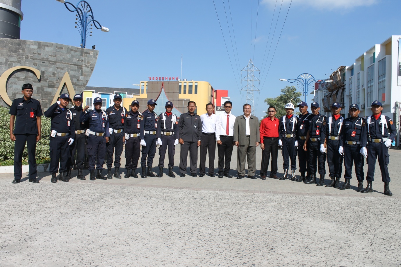 Keamanan Profesional